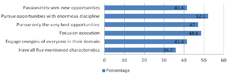 Level of entrepreneurial mindset characteristics in the SME sector