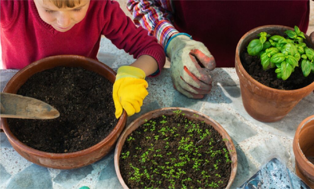 Gardening