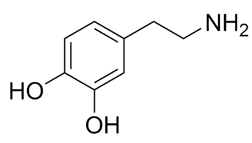 dopamine