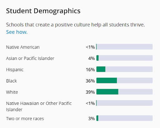 student demographics in georgia