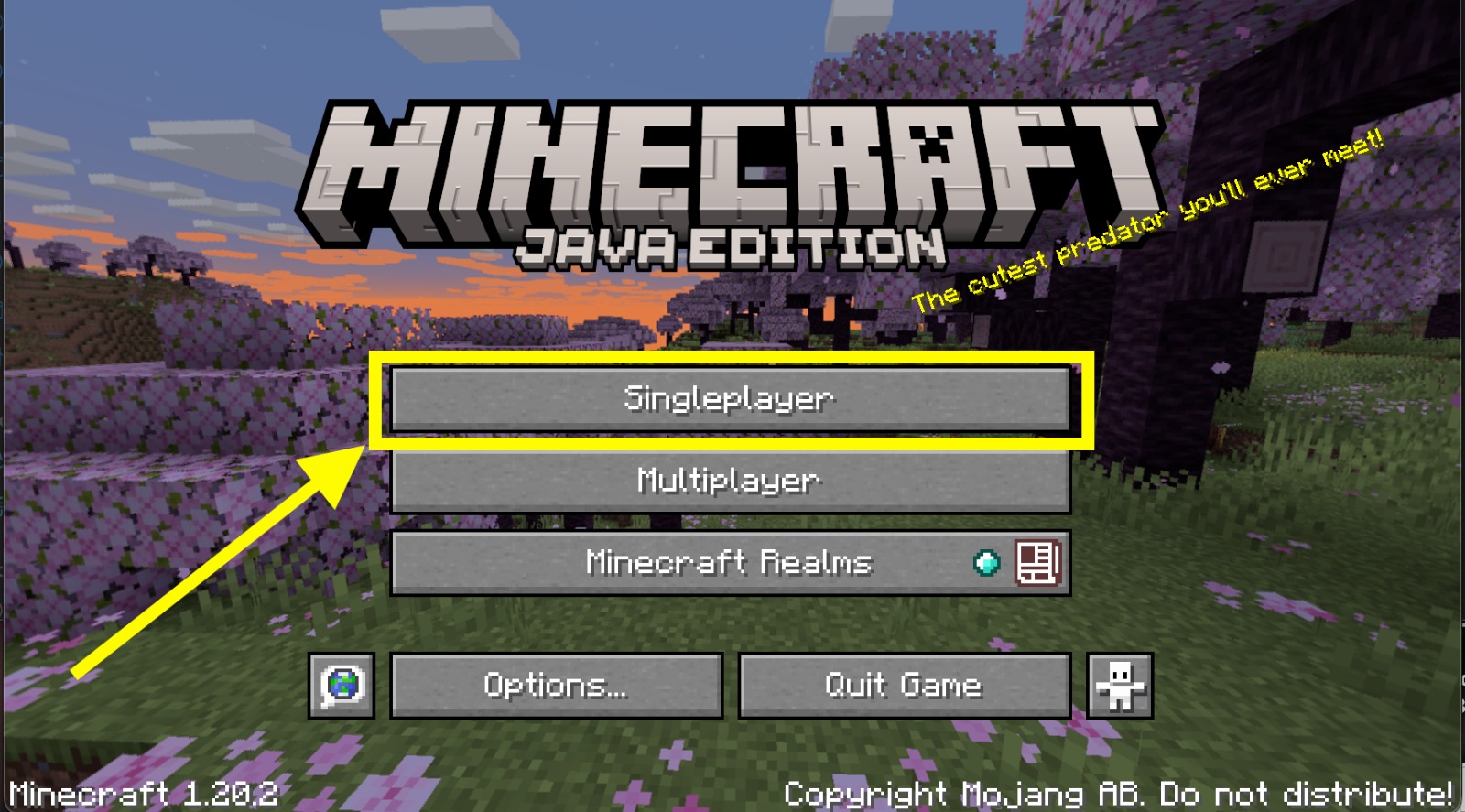 Select Singleplayer