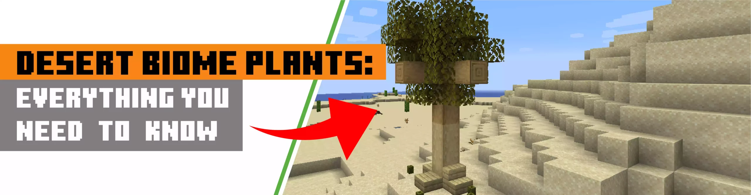 Desert Biome Plants