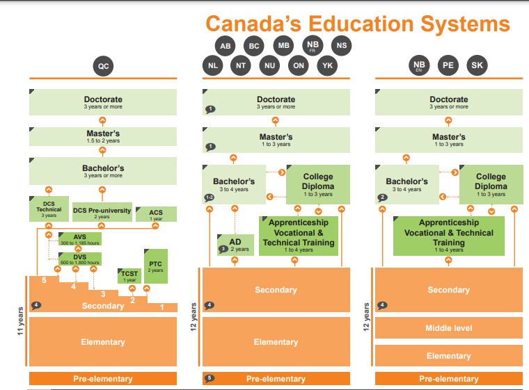 The educational infrastructure 