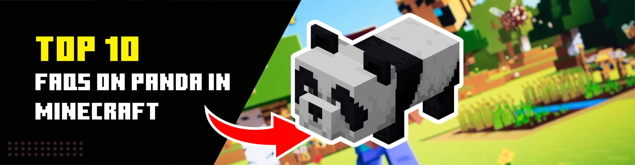 faq about panda in minecraft