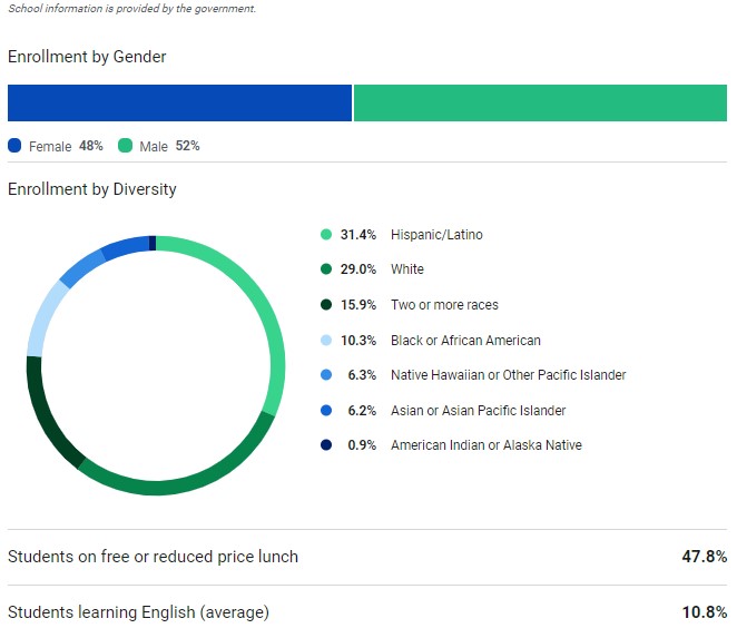 Enrollment By Gender