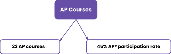 AP Courses