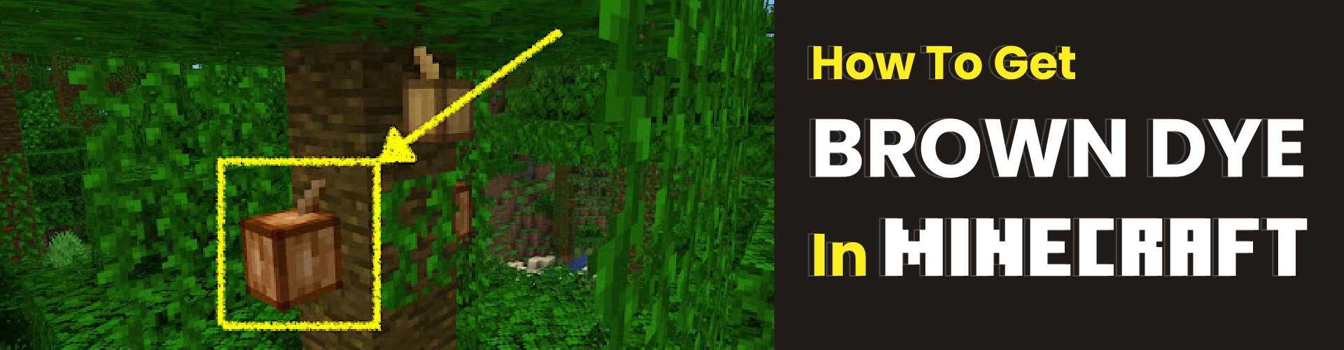 How To Get Brown Dye In Minecraft