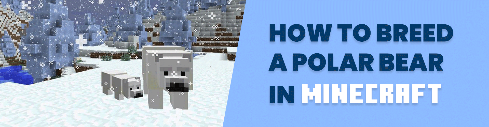 How to Breed a Polar Bear in Minecraft