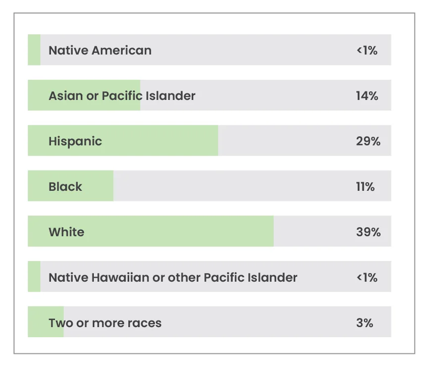 Student Demographics Lewisville Independent School District