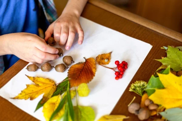 Collecting Leaves, Rocks, and Flowers