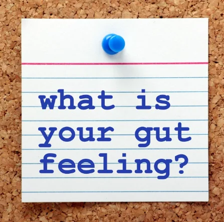 Listen To Your Gut Feeling