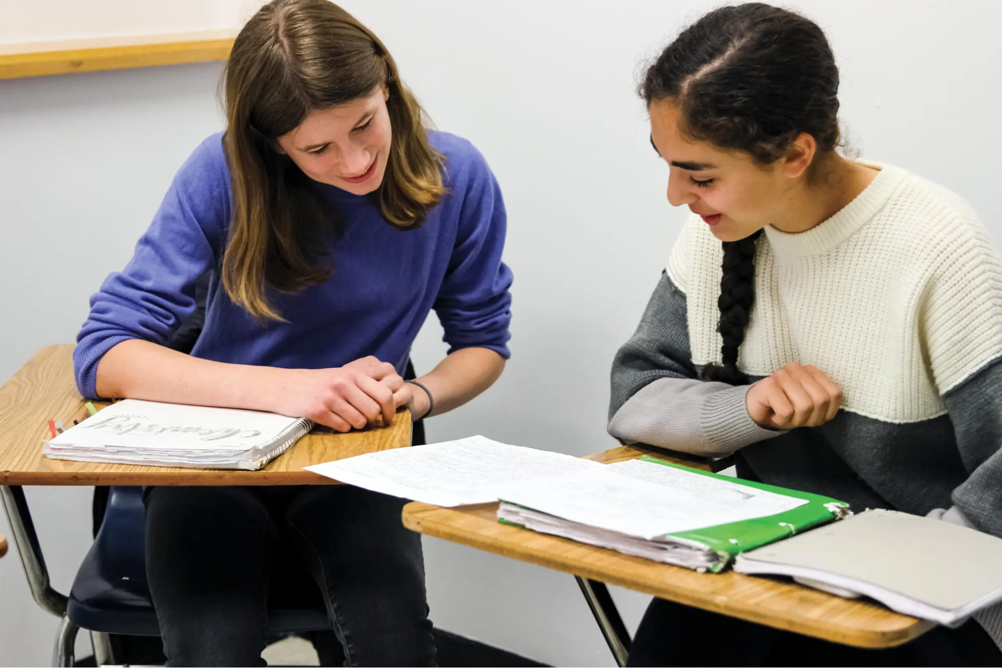 Tutoring and Peer Mentoring Programs