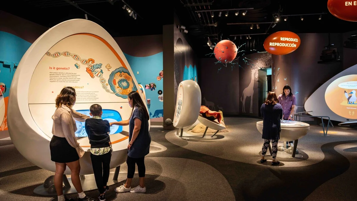 The California Science Centre, Los Angeles