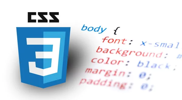 What is CSS