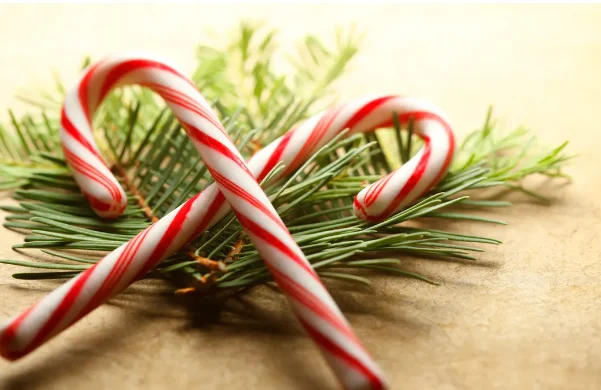 Candy Cane Trivia