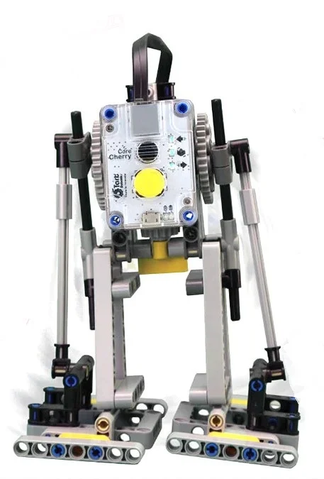 Bipedal Robot