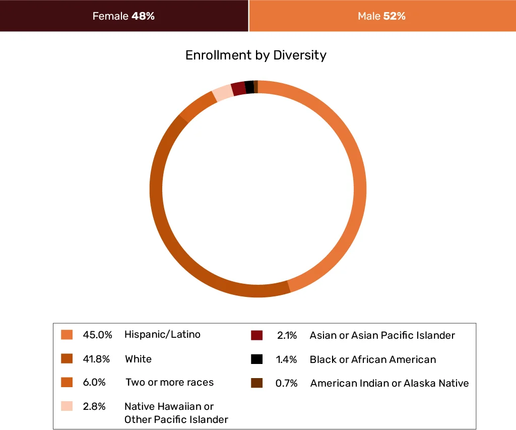 Diversity