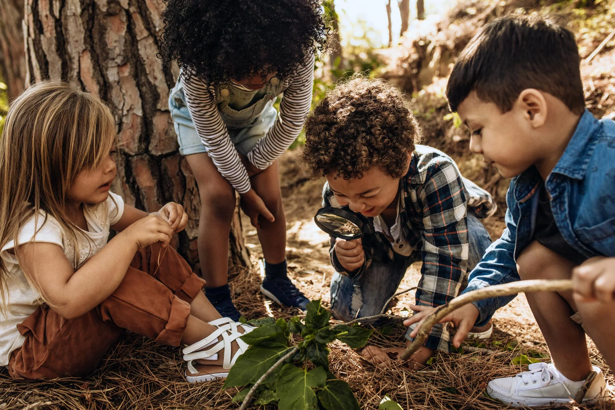 Encourage Curiosity