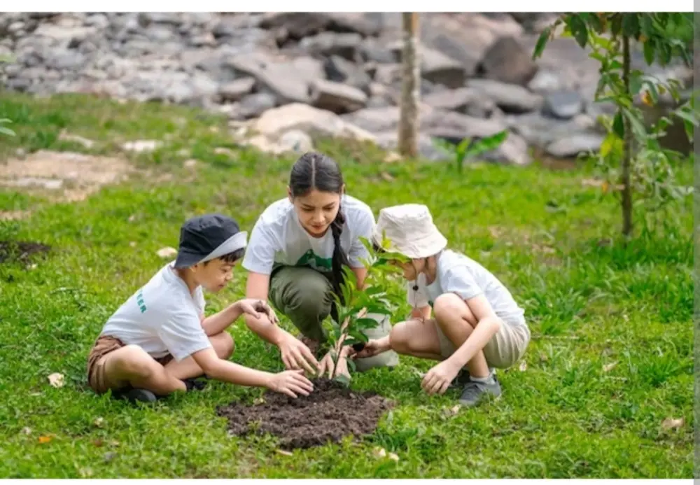 Planting Nurturing A Sapling