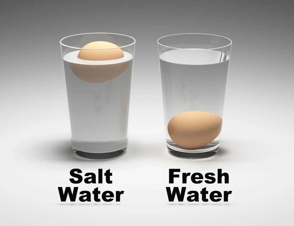 Make An Egg Float In Saltwater