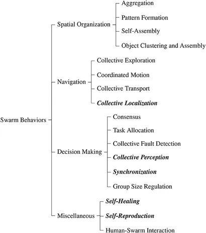 Future of Swarm Robotics