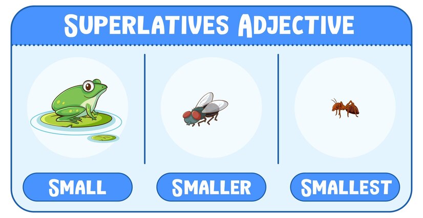 Synonym and Antonym Hunt