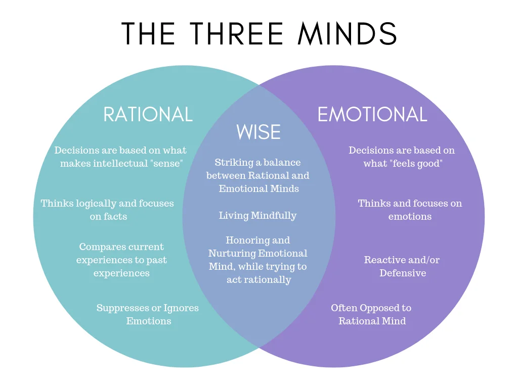 The Three Minds