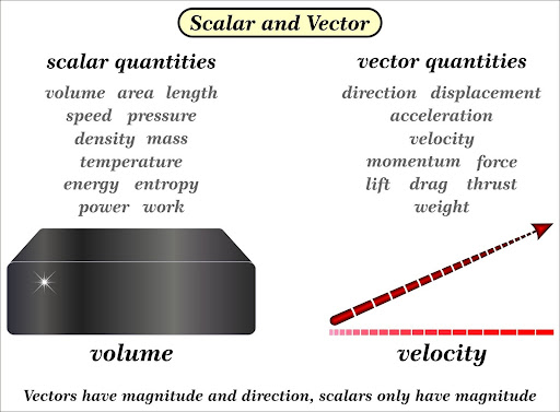 Scalar vs. Vector