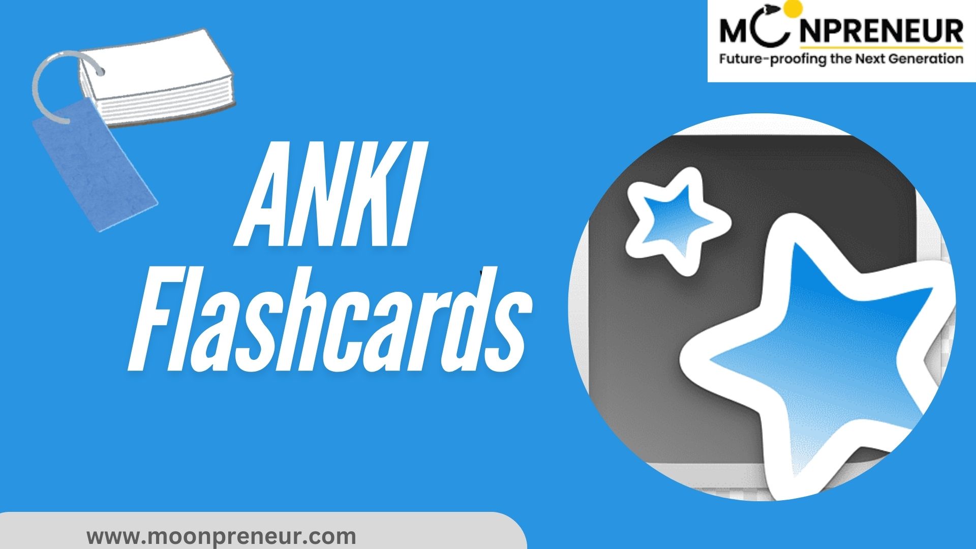 Anki Flashcard App