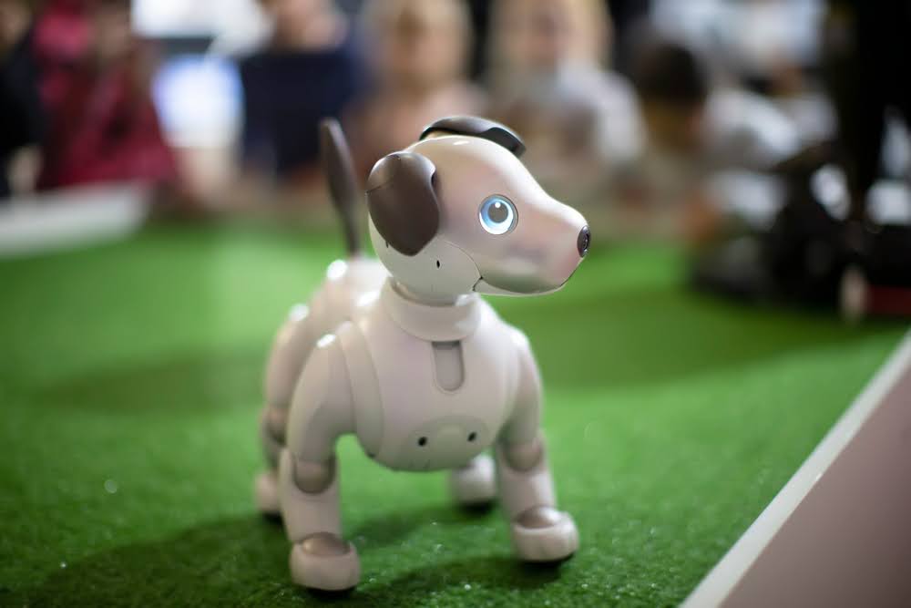 What is Aibo? The Evolution of Sony’s Robot Dog