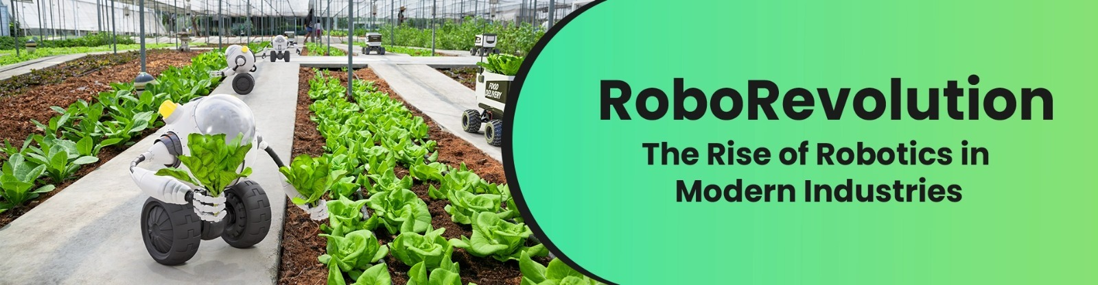 RoboRevolution – The Rise of Robotics in Modern Industries