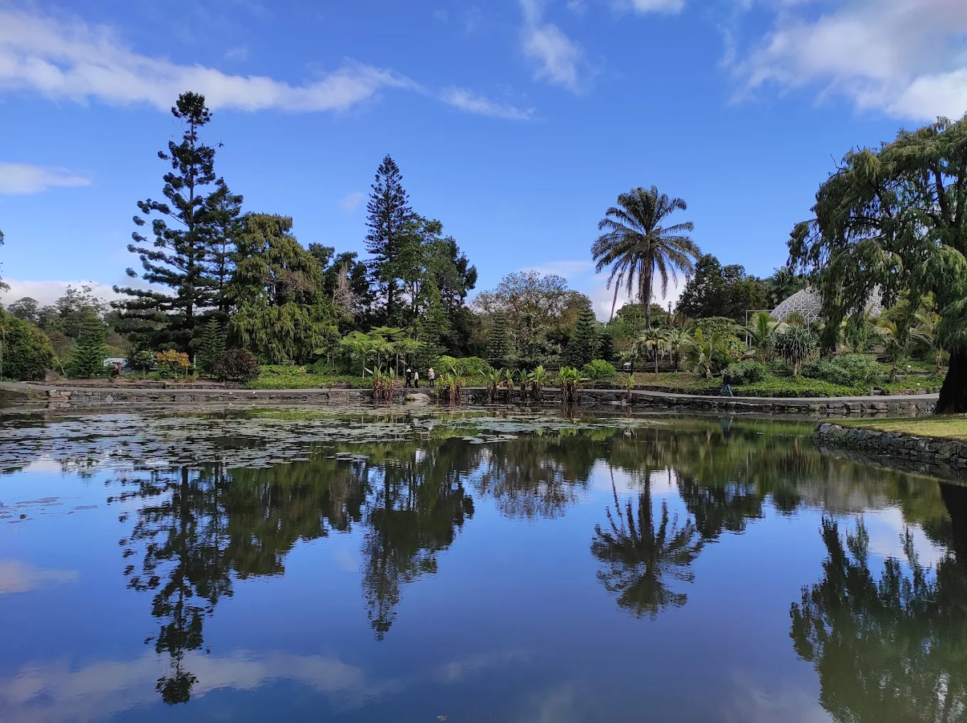 Brisbane Botanic Gardens Mt Coot-tha