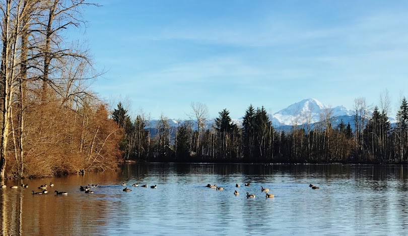 Mill Lake British Columbia
