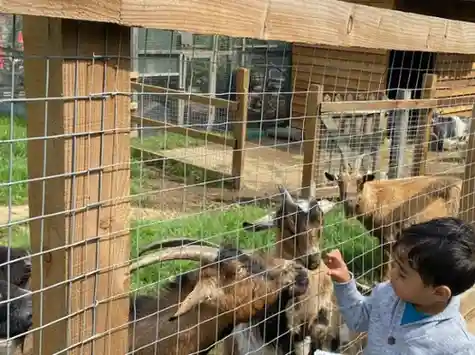 Woodside Animal Farm