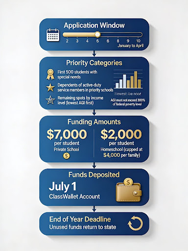 The Application Window