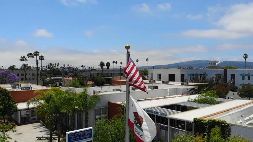 Harry Bridges Span School