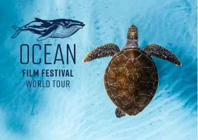 Ocean City Film Festival