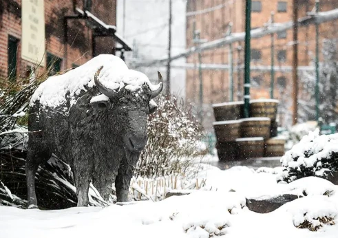 Charred And Chilled Festival