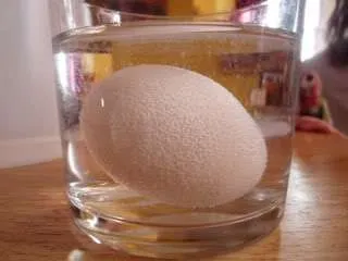 The Naked Egg
