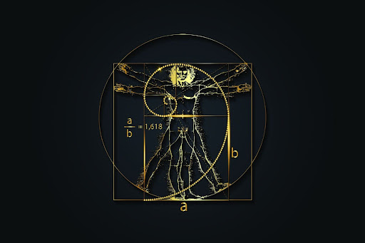 The Fibonacci Sequence in Human Anatomy