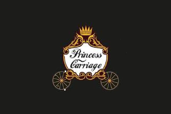 PRINCESS-CARRIAGE-1