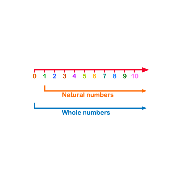 Number System